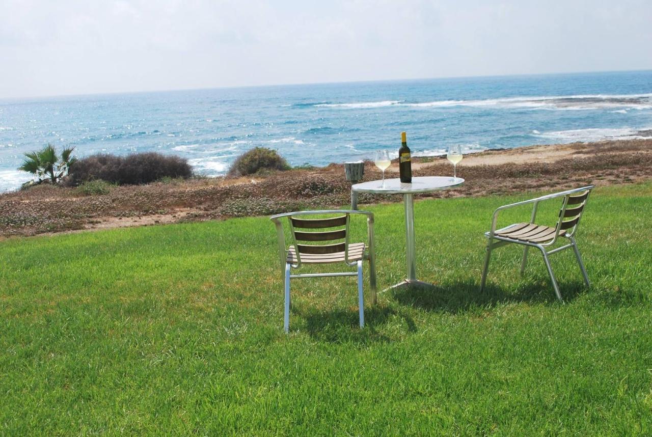 Sea Front Villa, Heated Private Pool, Amazing Location Paphos 323 คีสซอนเนกา ภายนอก รูปภาพ